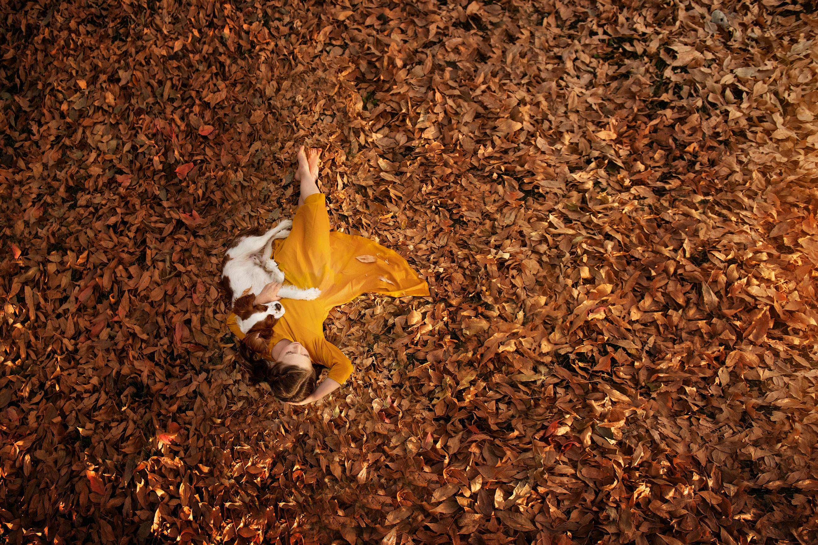 boulder veterinary hospital - girl laying in leaves with her dog