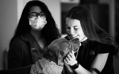 Trust | Boulder’s new veterinary hospital |